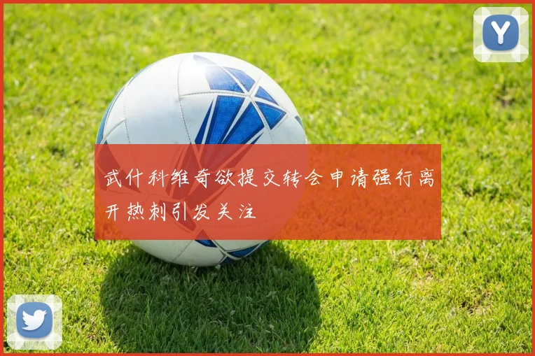 武什科维奇欲提交转会申请强行离开热刺引发关注