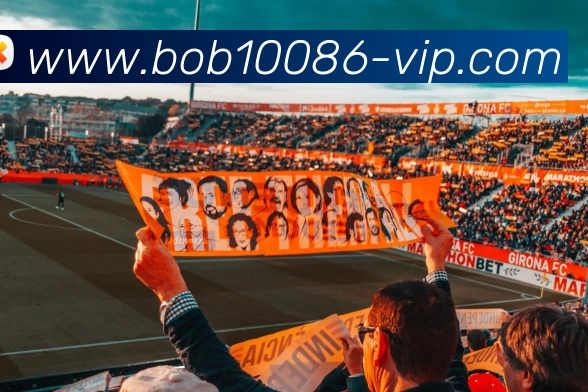 登录器